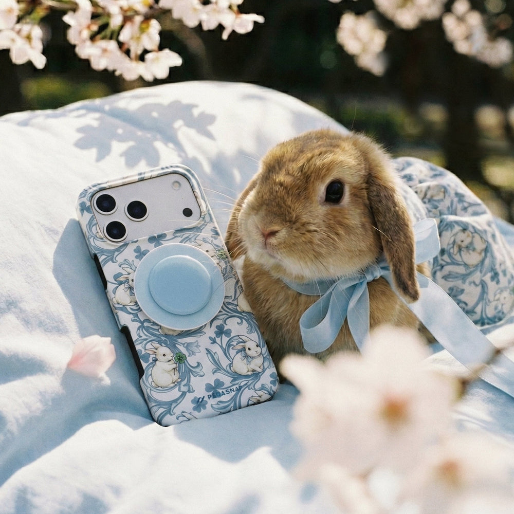 Fortune Rabbit MagSafe Phone Case Grip Set