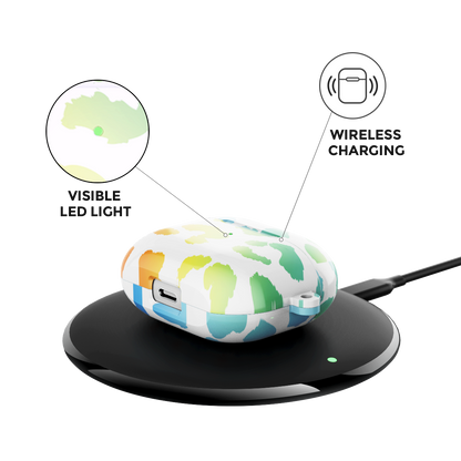 Leopard Print Blue Airpods Case